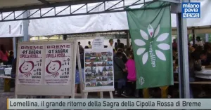Sagra della Cipolla Rossa di Breme 2023