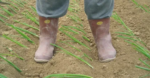 OTTOBRE: rincalzatura