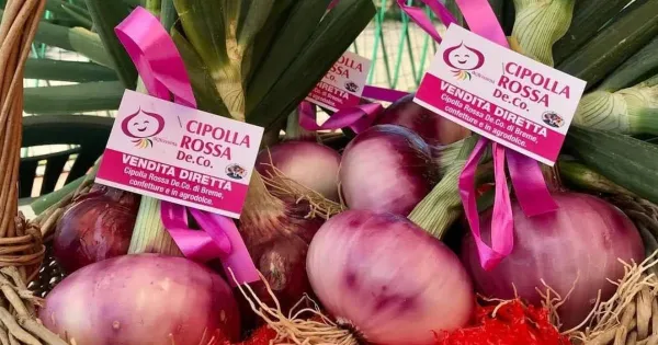 Dove trovarla - Immagine: 1